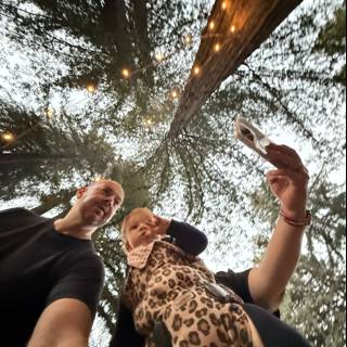 Captured Moments Under the Redwood Canopy