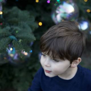 Enchanted Holiday Wonder