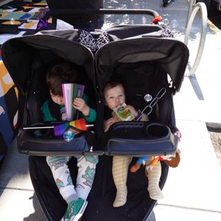 Double Delight in the Stroller