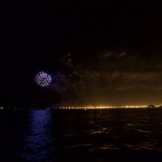 Spectacular Fireworks Lighting Up the Night Sky