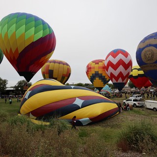 Colorful Hot Air Balloons Fill Festival Grounds at Dawn