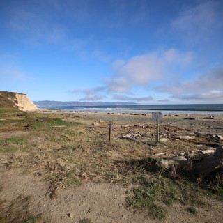 Coastal Landscape at Drakes Beach with Elephant Seals