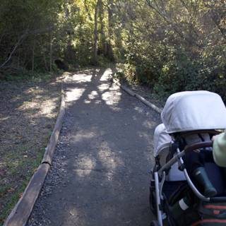 Stroll Through Thistlewyck