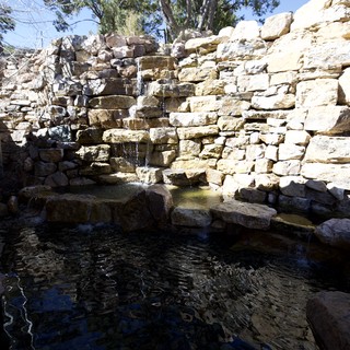 botanical garden or resort grounds