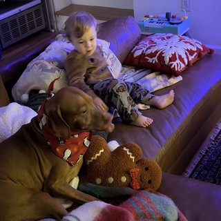Cozy Movie Night with Dog and Child
