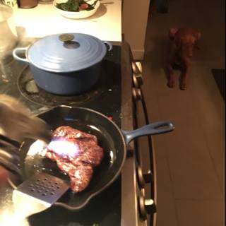 Cooking Up a Delicious Steak