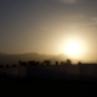Serene Sunset Silhouettes at Coachella 2024