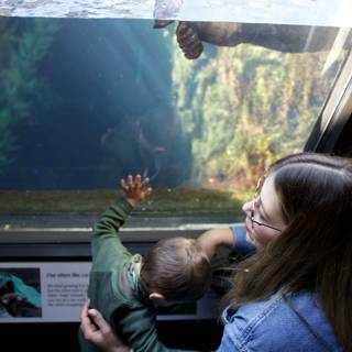 A World Underwater: Discovery at Monterey Bay Aquarium