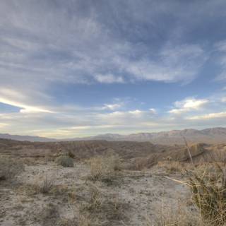 Serenity in the Desert