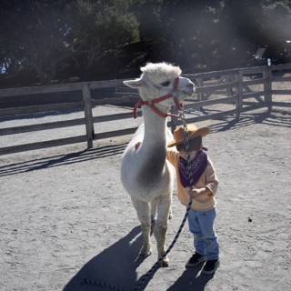 Little Cowboy and His Llama Adventure