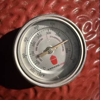 Grilling Precision