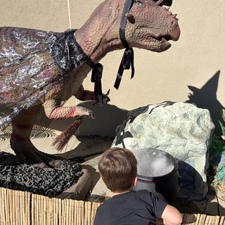 Child's Playful Moment with Dinosaur Witch Display