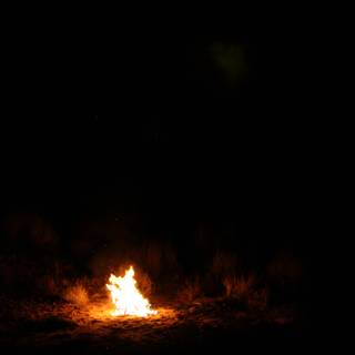Moonlit Bonfire