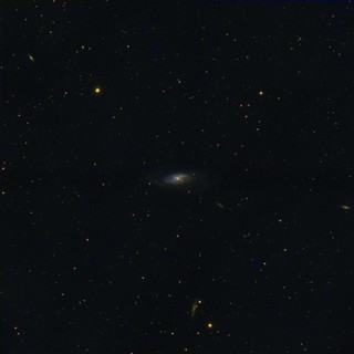 canes venatici