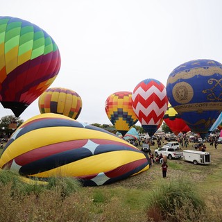 Colorful Hot Air Balloons Fill Festival Grounds at Dawn