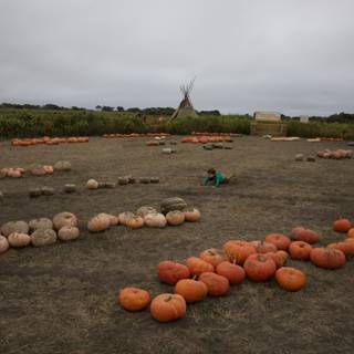 Harvest Memories