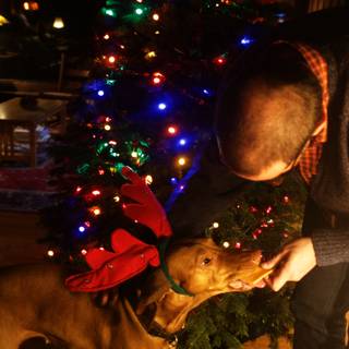 Man Feeds Christmas Pup