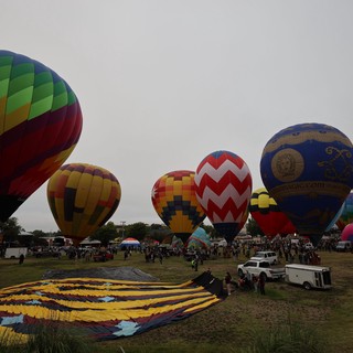Colorful Hot Air Balloons Rise at Dawn Festival