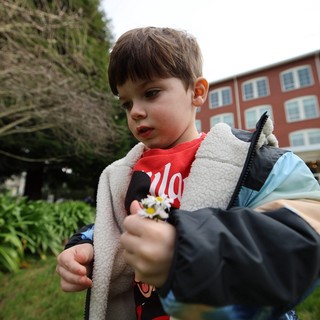 Young Child Offering Daisy Flowers at Urban Park