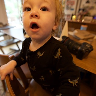Toddler in Dinosaur Pajamas Shows Surprise Expression