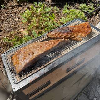 Smoky Summer Grills