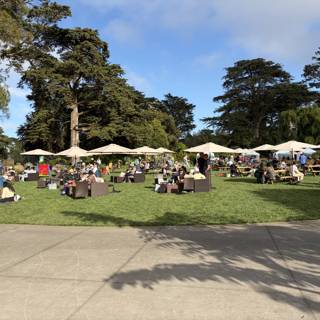 A Vibrant Day in the Park