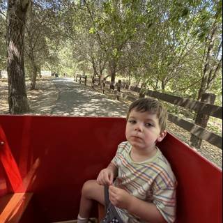 Train Ride Through the Woodland