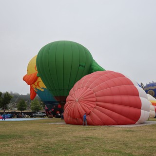 Hot Air Balloons Inflating at Sonoma County Classic