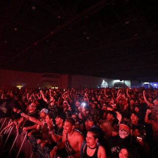 Massive Crowd Surges at Wobbleland 2026 Festival