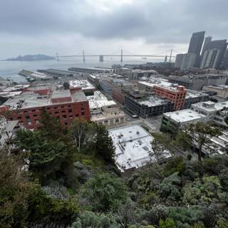 Scenic Cityscape from a Hilltop in San Francisco