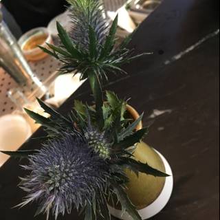 Purple Thistle Flower Arrangement