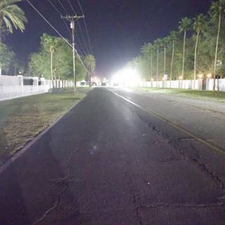 Nighttime Tranquility on Palm-Lined Avenue