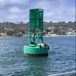 The Green Buoy off the Coast of San Diego