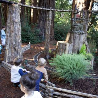 Enchanted Forest Playtime