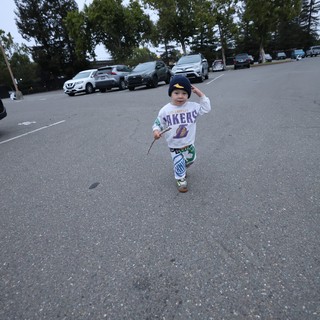 Fearless Toddler Runs Through Parking Lot with Stick