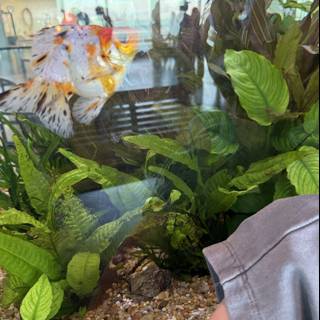 Aquarium Wonders at Pier 15