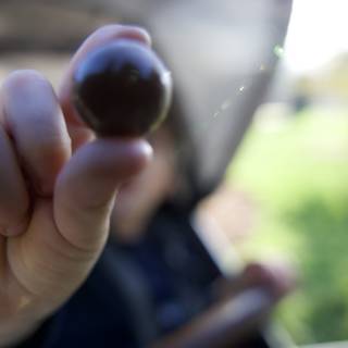 Tiny Treasures in Thistlewyck