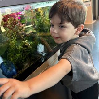 Little Explorer's Aquarium Adventure
