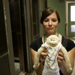 monkey-toy