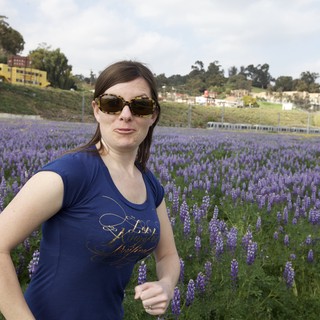 2009-not-a-cornfield-flowers-not-a-cornfield-flowers