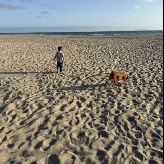 A Stroll Beyond the Shoreline