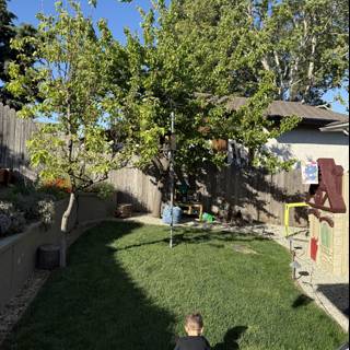 Backyard Adventures