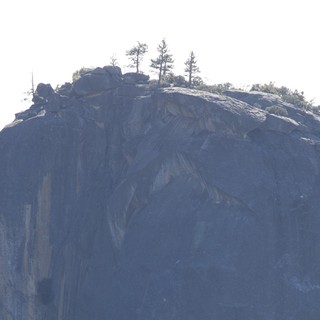Granite Dome Summit with Pines in Yosemite