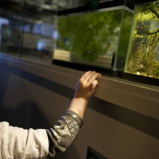 Discovering the Underwater World: A Day At The Museum