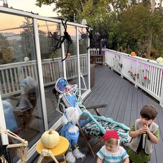 Halloween Skeleton Display on Foggy Deck