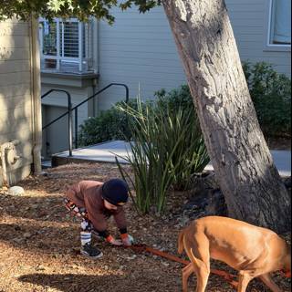 Autumn Adventures in Carmel
