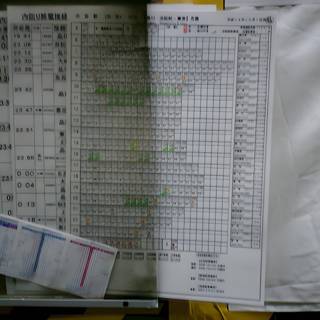 Gantt Chart for Tokyo Metropolitan Government Office