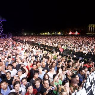 Coachella 2009: A Massive Audience Grooving to the Music