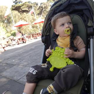 Playful Park Adventure