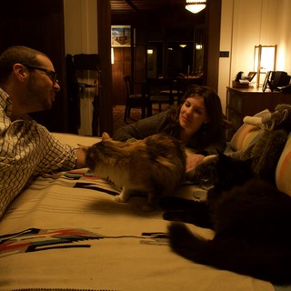 Cozy Evening with Cats on the Sofa